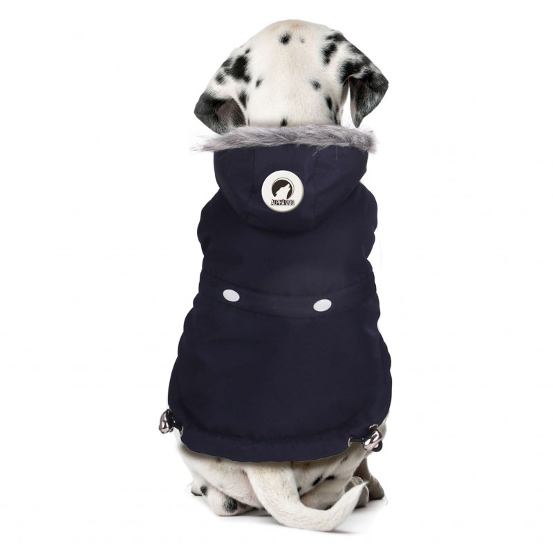 ROPA PERRO