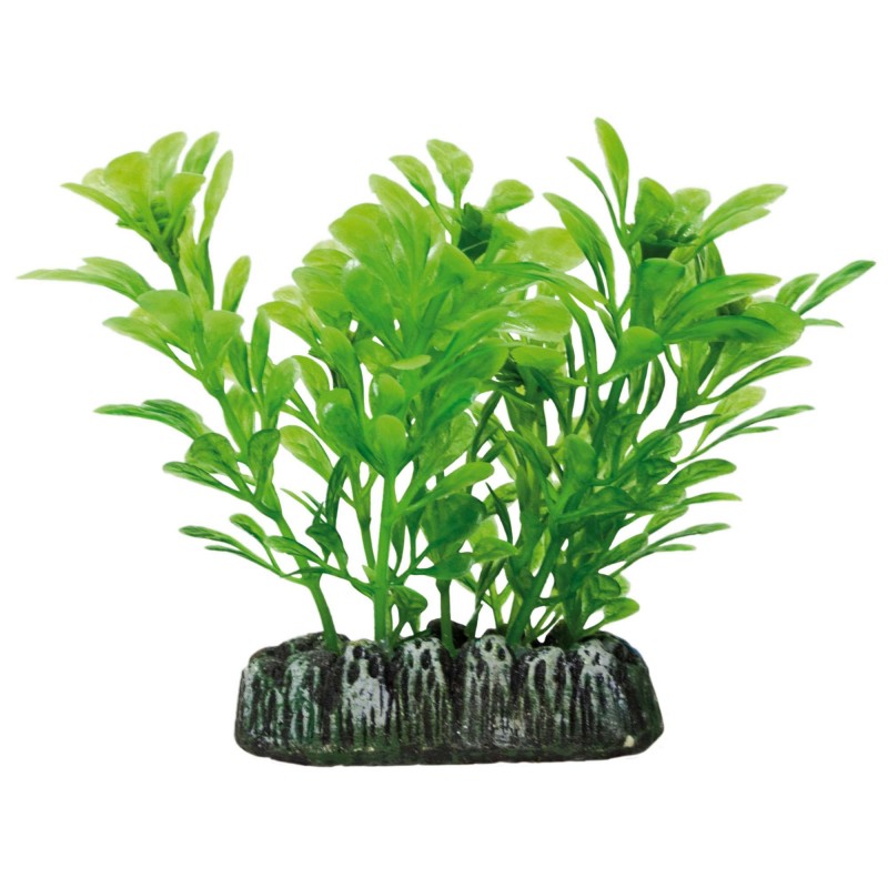 Samolus de AQUATIC PLANTS (PLÁSTICO) (8.5 cm)