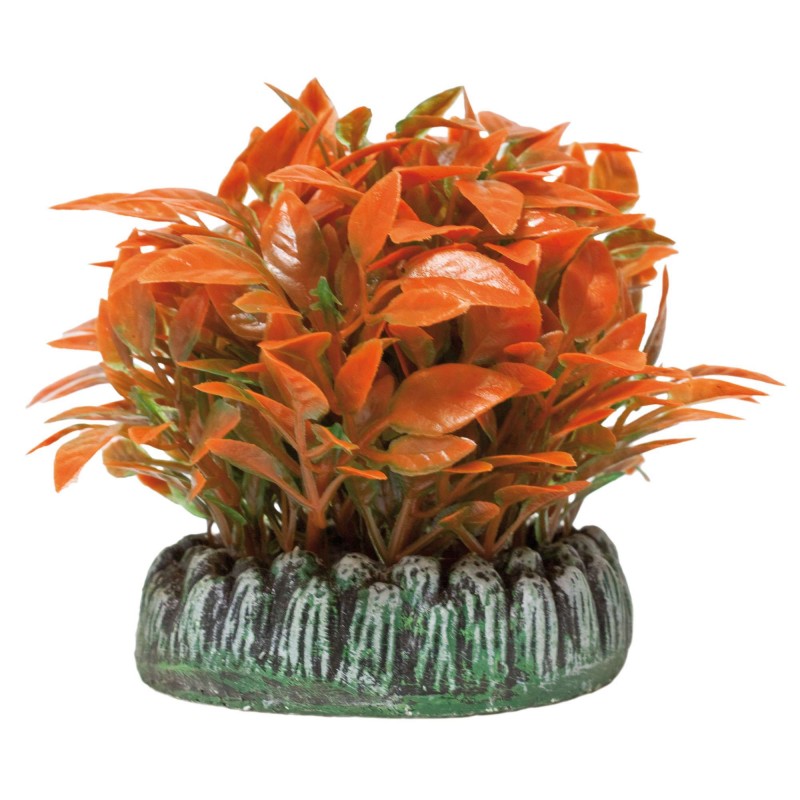 Alternanthera de AQUATIC PLANTS (PLÁSTICO) (8 cm)