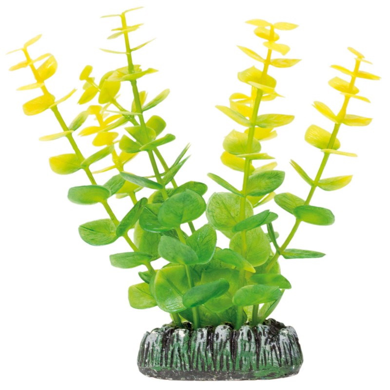 Bacopa de AQUATIC PLANTS (PLÁSTICO) (13 cm)